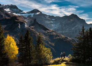 Praesent eu nulla vitae elit interdum sagittis eget a leo. Etiam sed velit nibh.